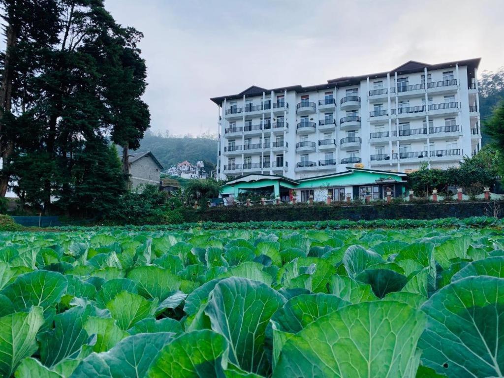 The Teak By Lakbima Apartment Nuwara Eliya Bagian luar foto